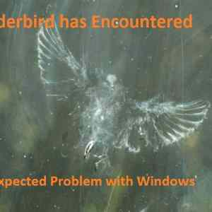 Obrázek 'thunderbird fail'