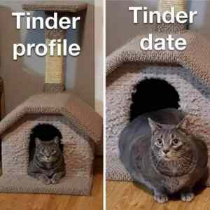 Obrázek 'tinder&nbsp;a&nbsp;realits'