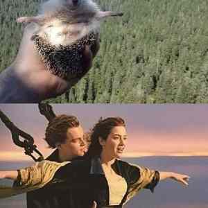 Obrázek 'titanic.  '