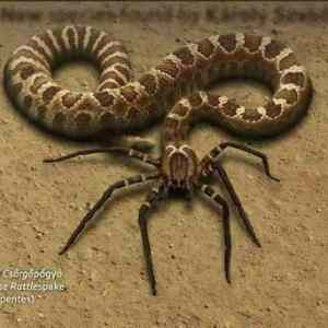 Obrázek 'tohle&nbsp;bych&nbsp;potkat&nbsp;opravdu&nbsp;nechtel'