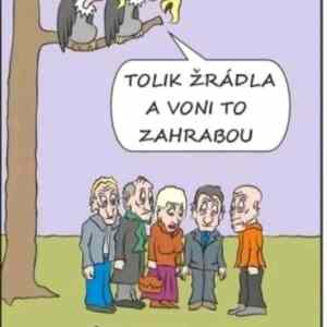 Obrázek 'tolik skody'