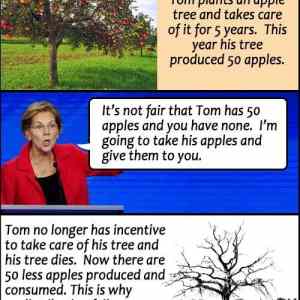 Obrázek 'tom&nbsp;apples'