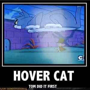 Obrázek 'tom hover first'