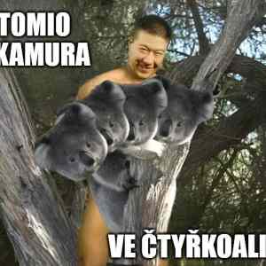 Obrázek 'tomio-ve-4koalici'