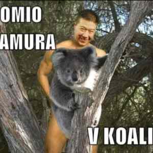 Obrázek 'tomio v koalici'