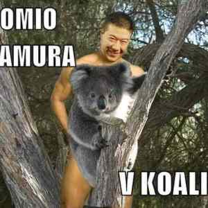 Obrázek 'tomiovkoalici'