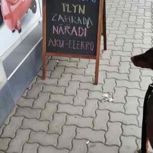 Obrázek 'totojeelekrotyomezenyko-kot-ko'