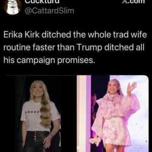 Obrázek 'trad wife fasade'