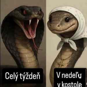 Obrázek 'tradicna krestanska moralka '