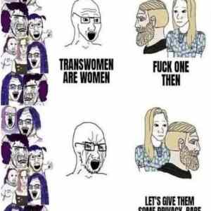 Obrázek 'trans'