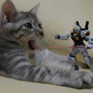 Obrázek 'transformer&nbsp;utoci'