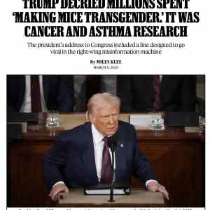 Obrázek 'transgenic mice'