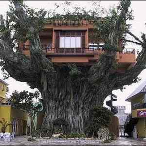 Obrázek 'tree house'