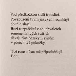 Obrázek 'trochu poezie'