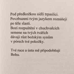 Obrázek 'trochu poezie'