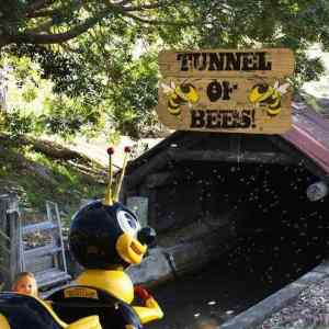 Obrázek 'tunnel&nbsp;of&nbsp;bees'