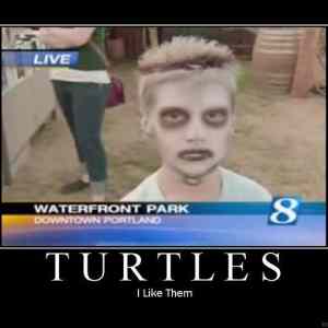 Obrázek 'turtles1'