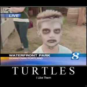 Obrázek 'turtles1'