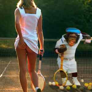 Obrázek 'two best tennis posters'