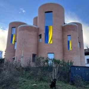 Obrázek 'u Pitomia'