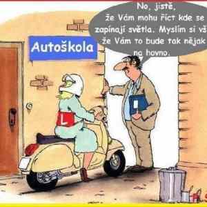 Obrázek 'udelala ridicak nebo ne'