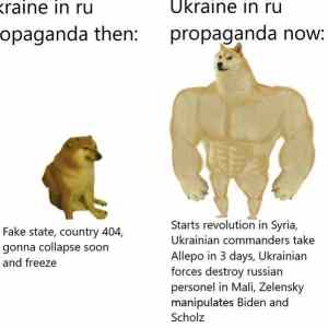 Obrázek 'ukraine in russia propaganda'