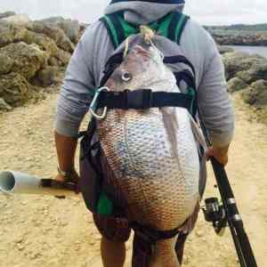 Obrázek 'ulovil&nbsp;-&nbsp;odnesl'