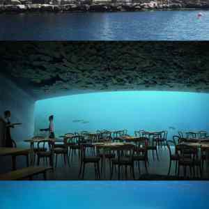 Obrázek 'underwater restaurant'