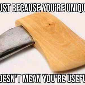 Obrázek 'uniqesful'