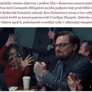 Obrázek 'uvarilpsy dicaprio'
