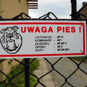 Obrázek 'uwaga pies'