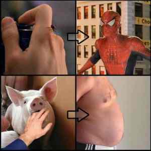 Obrázek 'uz vim proc'