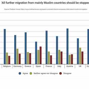 Obrázek 'v budoucnu by mela byt zastavena migrace z muslimskych zemi'