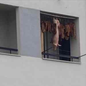 Obrázek 'vanocni&nbsp;prasatko'