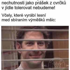 Obrázek 'vcely be like'