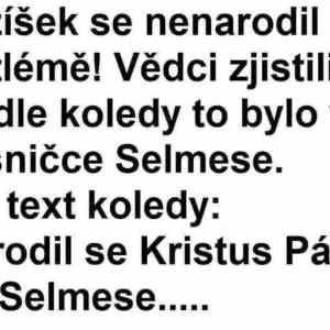 Obrázek 've Selmese'