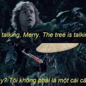 Obrázek 've Vietnamu stromy hovorily'