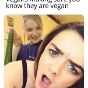 Obrázek 'vegan maxi'