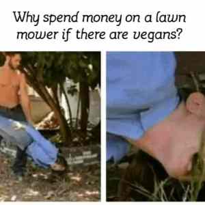Obrázek 'vegan mower'