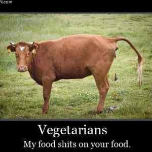 Obrázek 'vegetarians2'