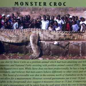 Obrázek 'velky krokodyl'