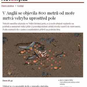 Obrázek 'velryba mrtva'