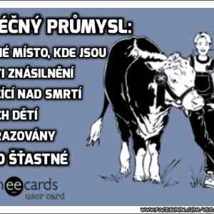 Obrázek 'vesela krava'