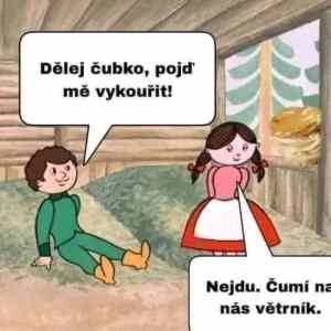 Obrázek 'vetrnik'