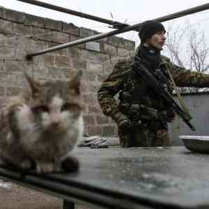 Obrázek 'vic&nbsp;Doneckych&nbsp;kocicek&nbsp;na&nbsp;R'