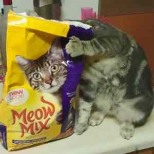 Obrázek 'vidim&nbsp;ta'