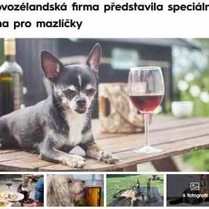 Obrázek 'vina pro cokly'