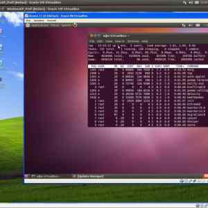 Obrázek 'virtualized ubuntu under virtualized windows under ubuntu'