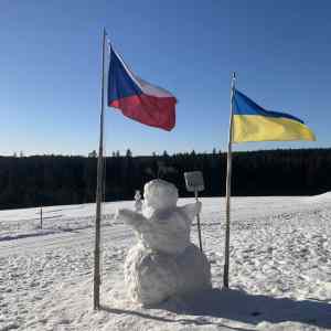 Obrázek 'vlajkulak'