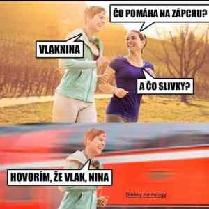 Obrázek 'vlaknina slivky'